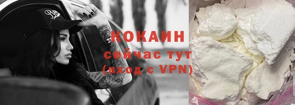 амф Гусь-Хрустальный