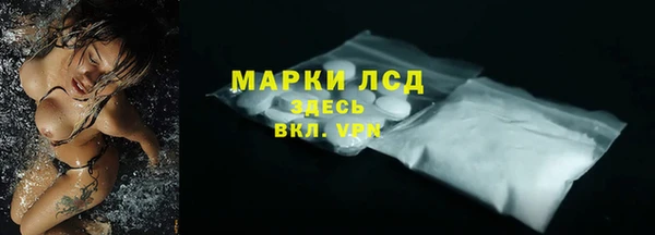 амф Гусь-Хрустальный