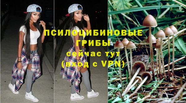 твердый Гусиноозёрск