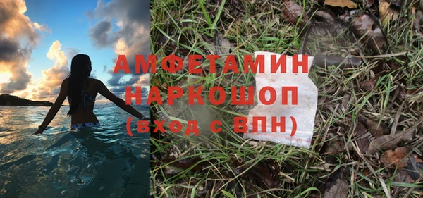 амф Гусь-Хрустальный
