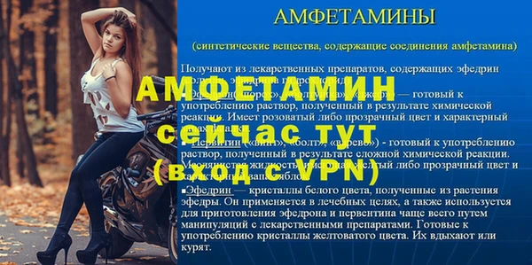 амф Гусь-Хрустальный