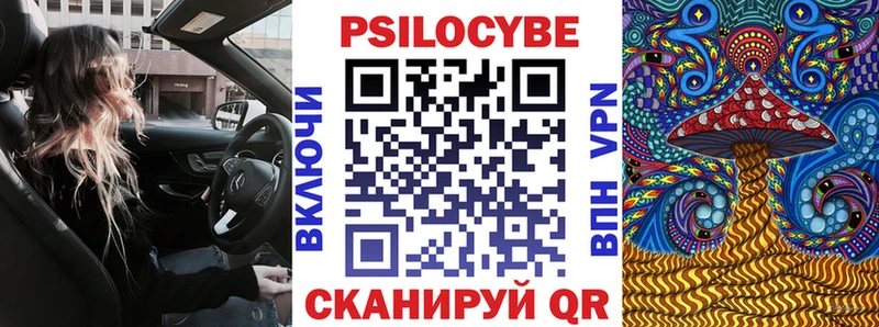 Купить где  Кондопога  Псилоцибиновые грибы мицелий 